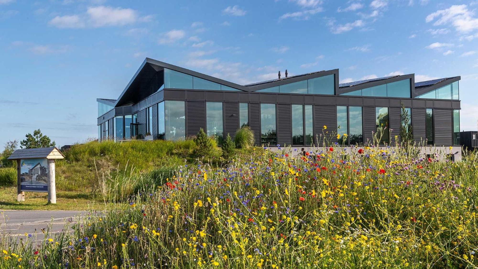Molecaten Park Waterdunen Breskens Exterior photo